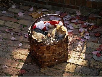 《最终幻想7：重制版》和服蒂法设定图 异国情调