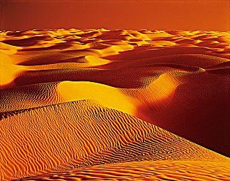 恐怖游戏新作《受苦之夜》预告片 试玩版现已发布